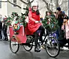 Photos: The Reindog Parade marches through Williamstown | Multimedia ...