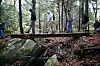 Sudden slashing of AmeriCorps grants by DOGE leave two Berkshires ...