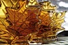 A sticky situation for maple syrup lovers like me