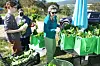 With new funding, Heart & Soil Collective gets more farm-fresh food to ...