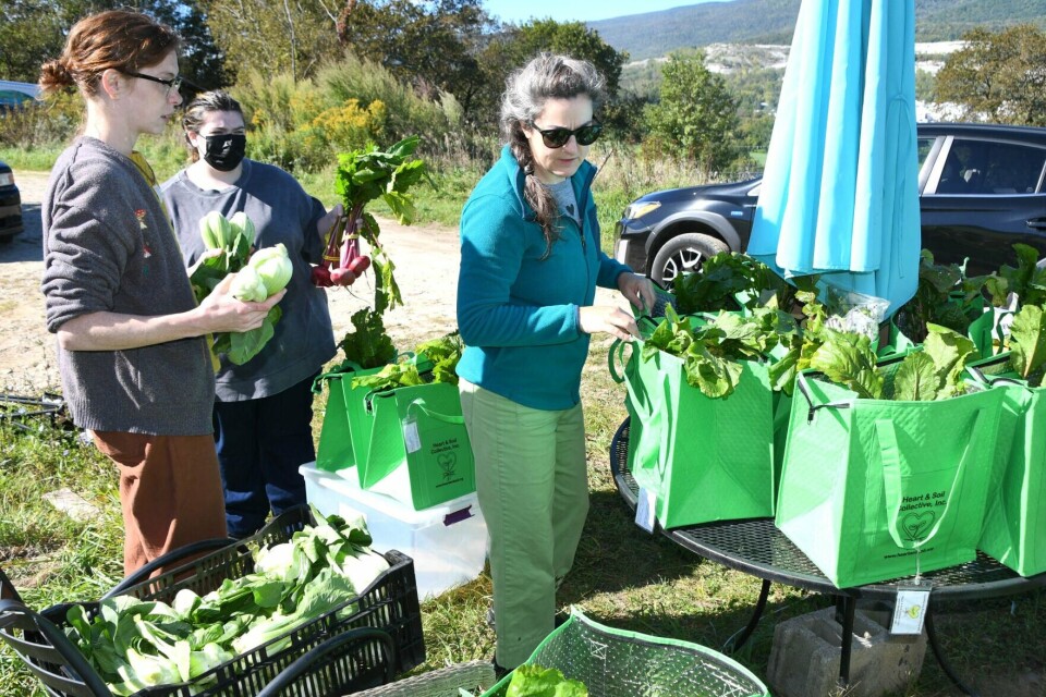 Paper Turnips With new funding, Heart & Soil Collective gets more farm-fresh food to ...