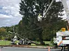 Vehicle crashes into utility pole on Route 2 in North Adams | Breaking ...